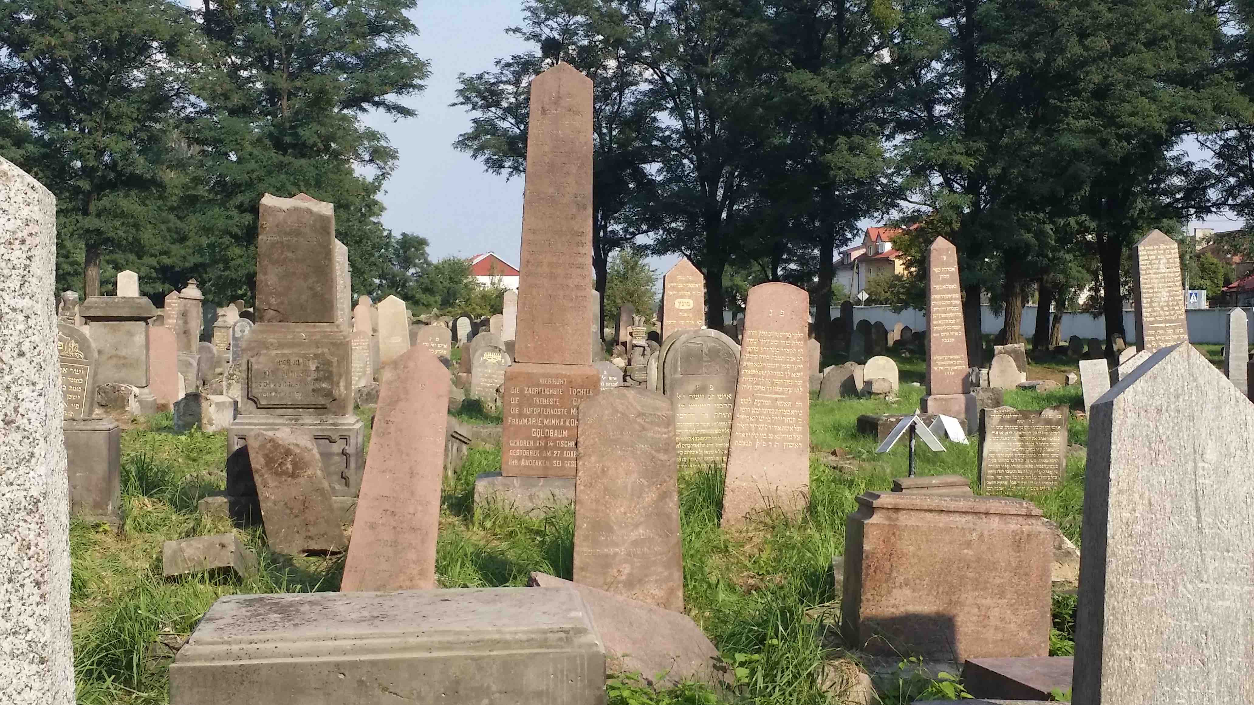 Bagnówka, restored gravestones, 2015-16. Photo: Heidi M. Szpek