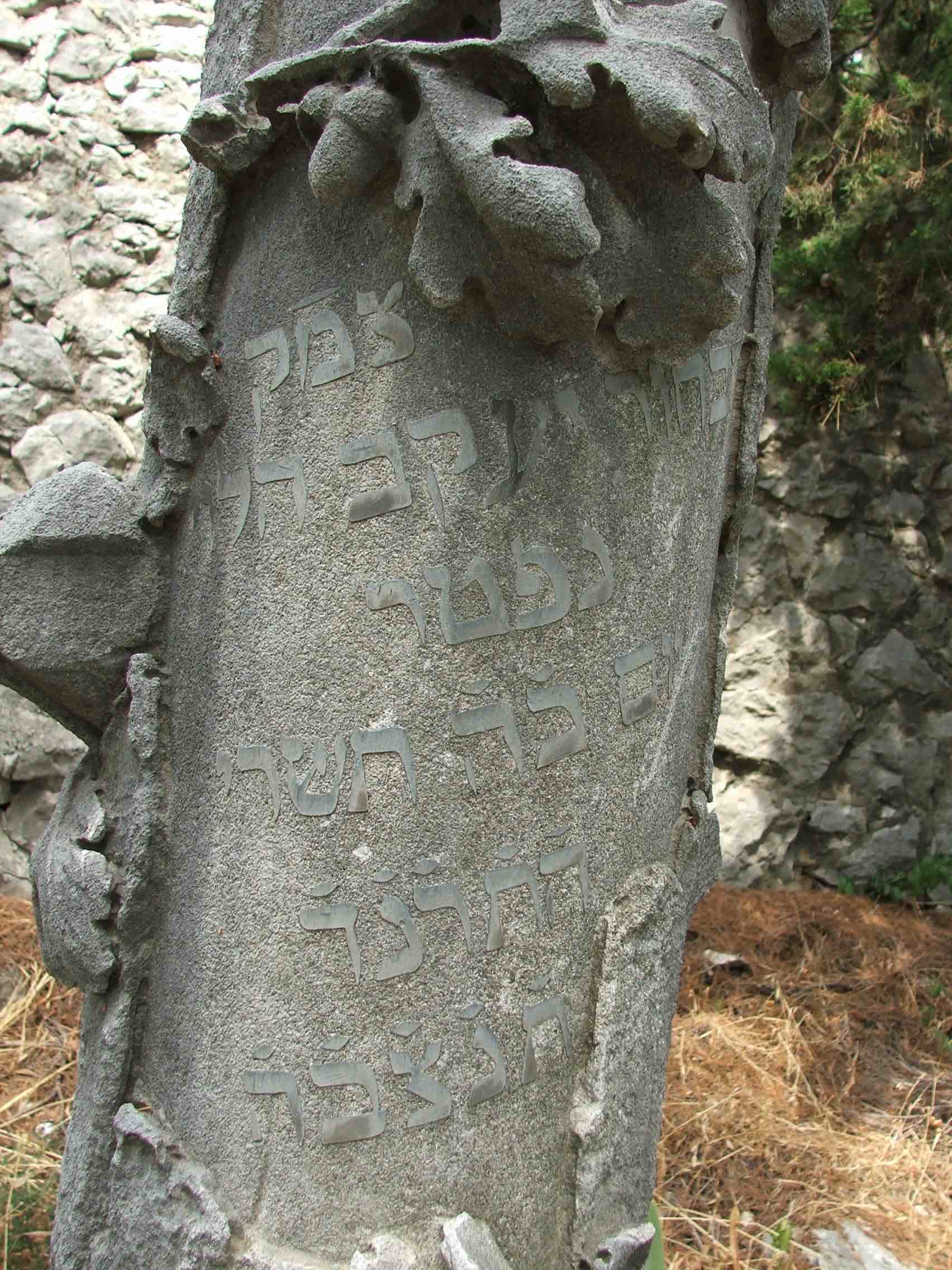 From Ana Lebl in Split, Croatia - a gravestone in the Old Jewish Cemetery on Marjan Hill that feature oak leaves, branches, and acorns